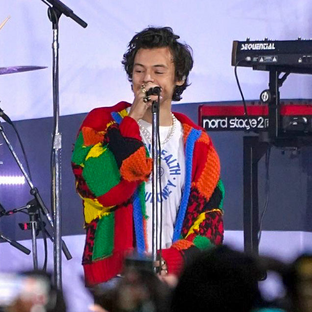 Harry Styles Cardigan Bag
